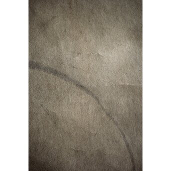 円山派 円山主水/応瑞 奥順蔵/貞章/文鳴 合作【若松に猫】水墨紙本掛軸　Z219 