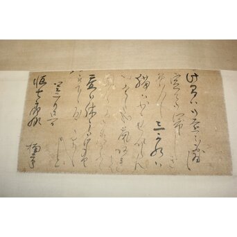 円山派 円山主水/応瑞 奥順蔵/貞章/文鳴 合作【若松に猫】水墨紙本掛軸　Z219 背面に張り付いています