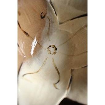 二代 宮川/真葛香山 乾山意 百合花椀 4客　P195 