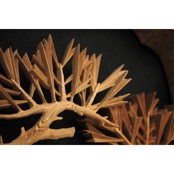 井波彫刻 弘介銘 松の深彫木彫欄間2枚1組　R2562Y 