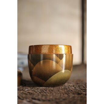 而妙斎極 岡澤起幸 遠山マキエ大棗　Q108 