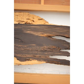 竹ひごと黒柿の夏戸/簀戸 4枚1組　F227 