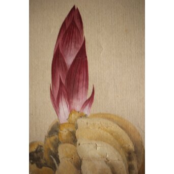 奥村藻山 百合図 絹本彩色掛軸　Z224 