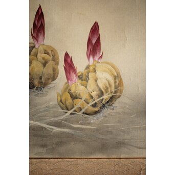 奥村藻山 百合図 絹本彩色掛軸　Z224 