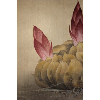 奥村藻山 百合図 絹本彩色掛軸　Z224 