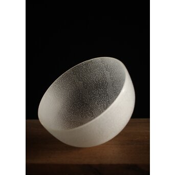 虫食手 腐食電笠　A2001 