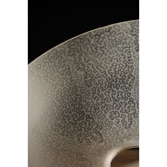 虫食手 腐食電笠　A2001 