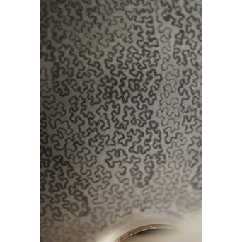 虫食手 腐食電笠　A2001 