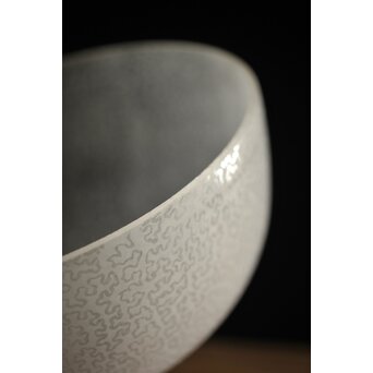 虫食手 腐食電笠　A2001 