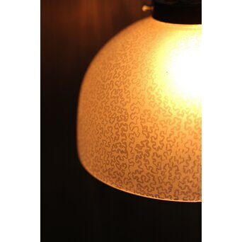 虫食手 腐食電笠　A2001 