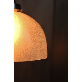 虫食手 腐食電笠　A2001 