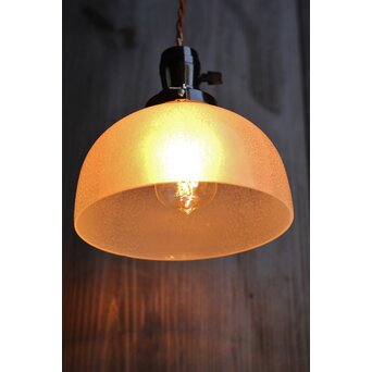 虫食手 腐食電笠　A2001 