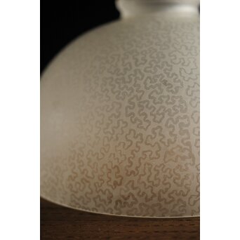 虫食手 腐食電笠　A2001 