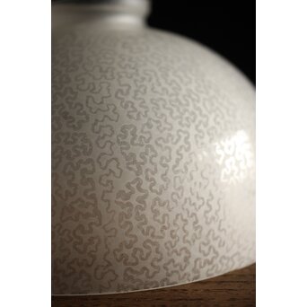 虫食手 腐食電笠　A2001 