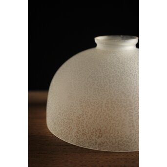 虫食手 腐食電笠　A2001 