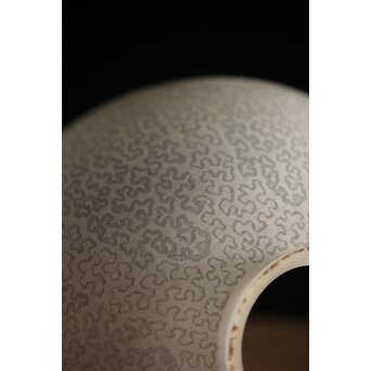 虫食手 腐食電笠　A2001 