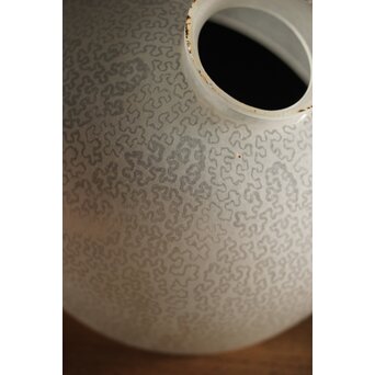 虫食手 腐食電笠　A2001 