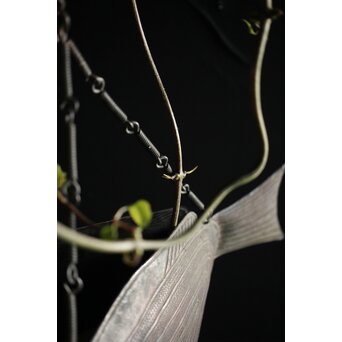 魚型吊花生　M225Y 