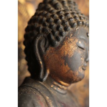 仏教美術 木彫阿弥陀如来坐像　X248 