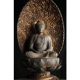 仏教美術 木彫阿弥陀如来坐像　X248 