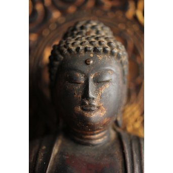 仏教美術 木彫阿弥陀如来坐像　X248 