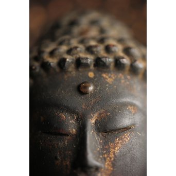 仏教美術 木彫阿弥陀如来坐像　X248 