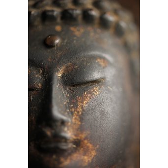 仏教美術 木彫阿弥陀如来坐像　X248 