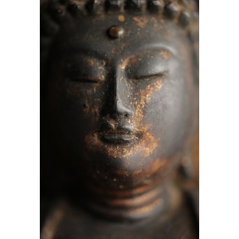 仏教美術 木彫阿弥陀如来坐像　X248 