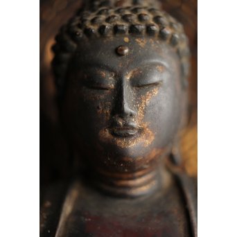 仏教美術 木彫阿弥陀如来坐像　X248 