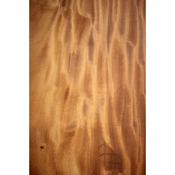 サペリ 美杢 極厚一枚板 天板　X250 