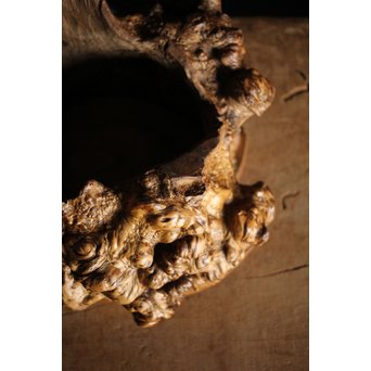 瘤木 自然木の瓶掛　X251 