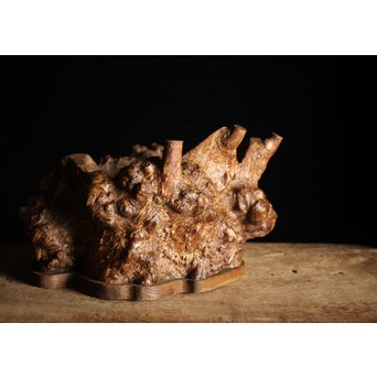 瘤木 自然木の瓶掛　X251 