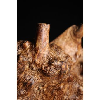 瘤木 自然木の瓶掛　X251 