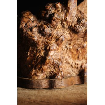 瘤木 自然木の瓶掛　X251 