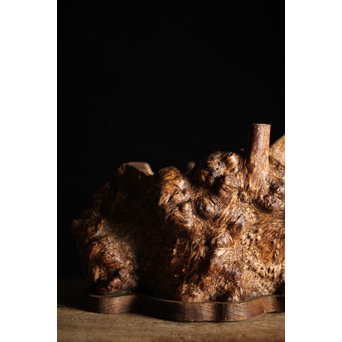 瘤木 自然木の瓶掛　X251 