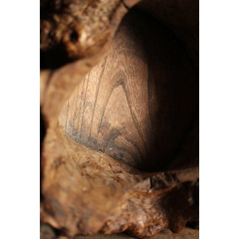 瘤木 自然木の瓶掛　X251 