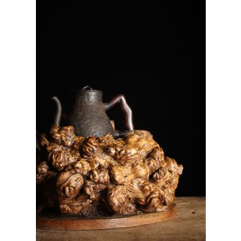 瘤木 自然木の瓶掛　X251 