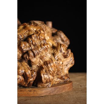 瘤木 自然木の瓶掛　X251 