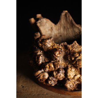 瘤木 自然木の瓶掛　X251 