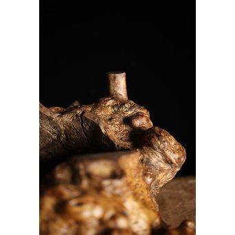 瘤木 自然木の瓶掛　X251 