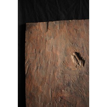 辻清明 旧蔵 時代古木天板　X257 