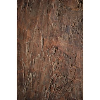 辻清明 旧蔵 時代古木天板　X257 