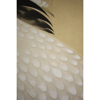 横尾木鶏 双鶴図 絹本彩色掛軸　Z229 