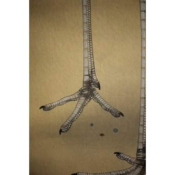 横尾木鶏 双鶴図 絹本彩色掛軸　Z229 