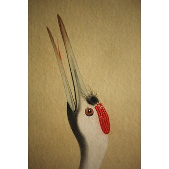 横尾木鶏 双鶴図 絹本彩色掛軸　Z229 