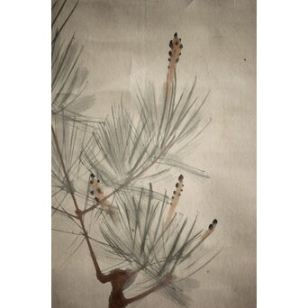 鷗舟作 紙本掛軸 野晒　Z230 