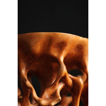 黄楊の根木台 瓶座　X259 