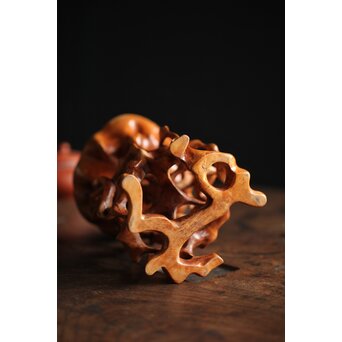 黄楊の根木台 瓶座　X259 