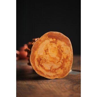 黄楊の根木台 瓶座　X259 