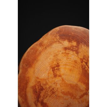 黄楊の根木台 瓶座　X259 